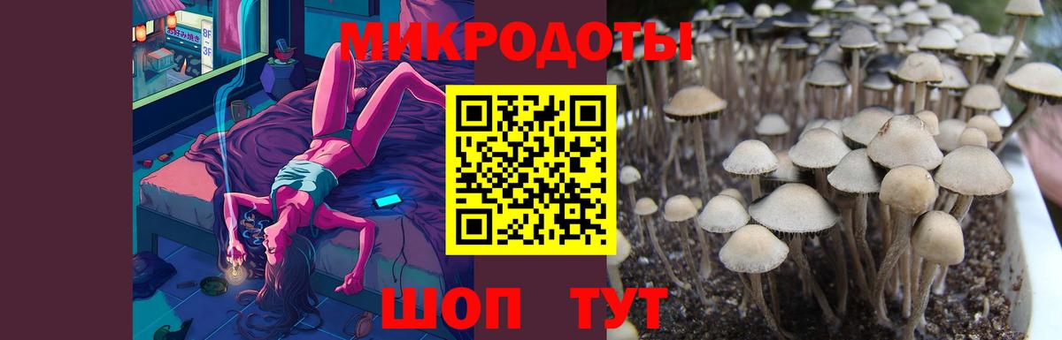 Псилоцибиновые грибы ЛСД Борзя